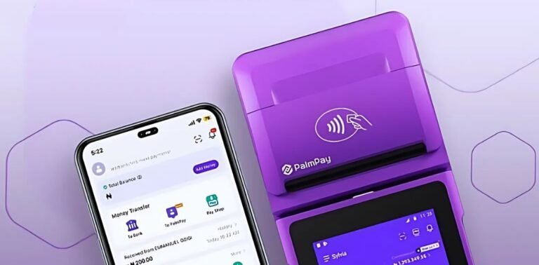PalmPay in Talks to Raise $100 Million for Expansion in Africa 
