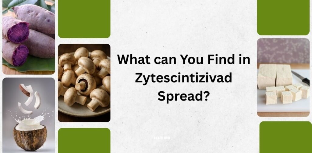 What can You Find in Zytescintizivad Spread?