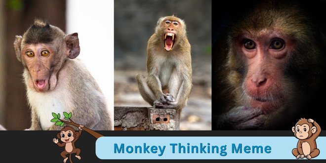 Monkey Thinking Meme