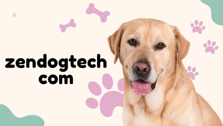 zendogtech com